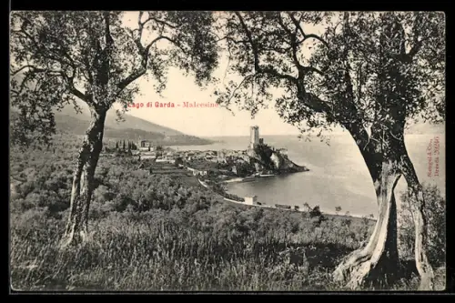 AK Malcesine, Ortsansicht mit Gardasee