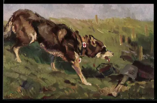 Künstler-AK Sanitätshund bei der Suche nach Verwundeten