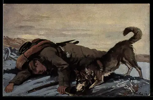 AK Sanitätshund beim Auffinden eines Vewundeten