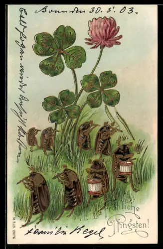 AK Maikäferparade spielt fröhliche Lieder zu Pfingsten unter Kleeblüten