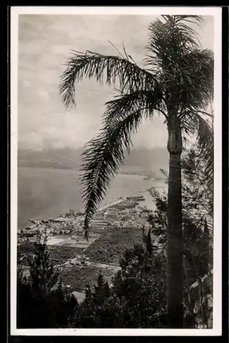 AK Palermo, Ortsansicht mit Hafen und Dampfer