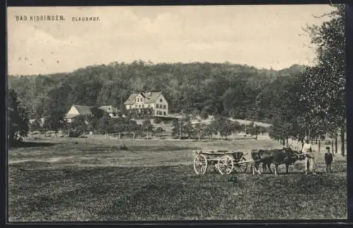 AK Bad Kissingen, Ansicht vom Claushof