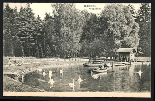AK Kassel, Auebassin, Schwanenteich mit Ruderbooten