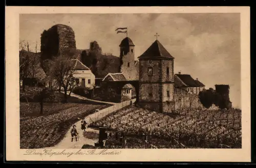AK St. Martin, Kropsburg, Burganlage, Weinberge