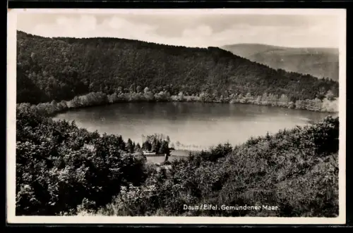 AK Daun /Eifel, Gemündener Maar