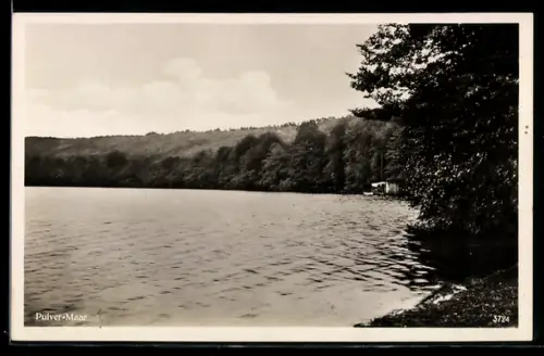 AK Pulvermaar, Seeufer und Waldlandschaft