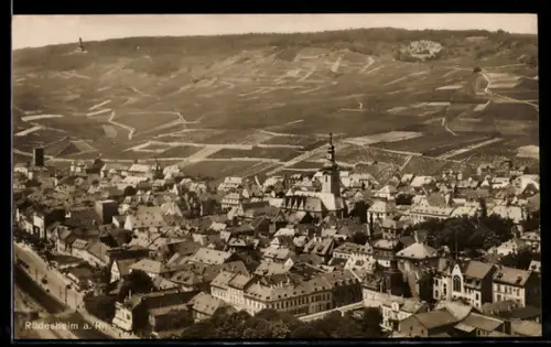 AK Rüdesheim a. Rh., Stadtansicht mit Kirche und Weinbergen