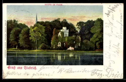 AK Biebrich, Ruine im Park