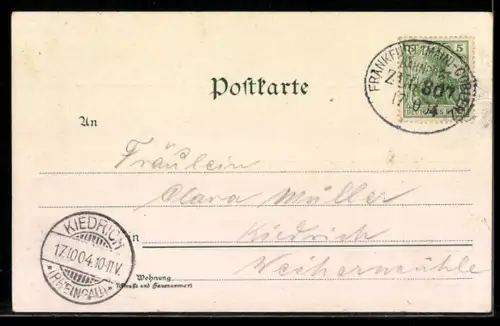 AK Biebrich, Ruine im Park