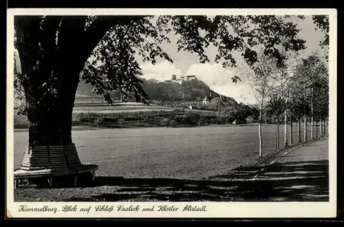 AK Hammelburg, Blick auf Schloss Saaleck und Kloster Altstadt