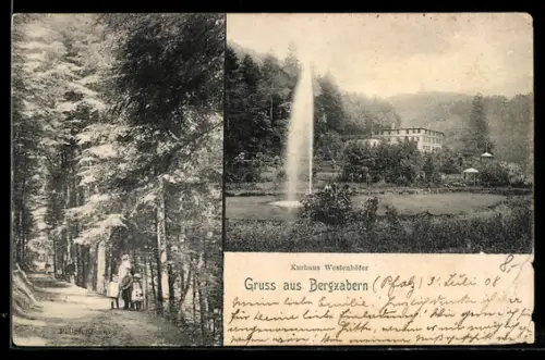 AK Bergzabern, Kurhaus Westenhöfer, Park mit Springbrunnen, Waldweg