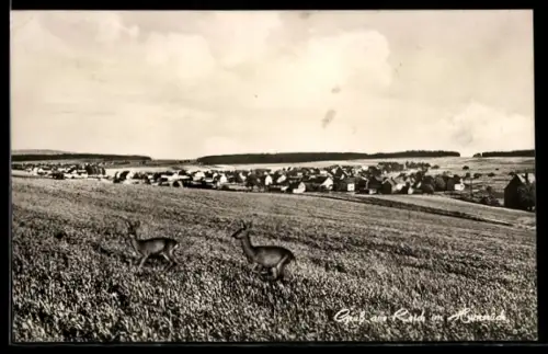AK Reich /Hunsrück, Feldansicht mit Rehen und Ortsansicht