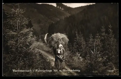 AK Warmensteinach i. Fichtelgebirge, Moosbachsteig, Frau mit Heuballen