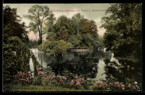 AK Oldenburg, Schlossgarten, Partie am Schwanenteich