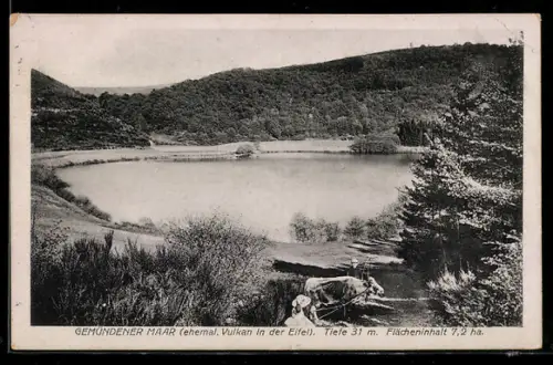 AK Gemünden, Idyllische Partie an der Maar