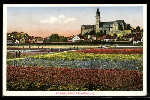 AK Quedlinburg, Totalansicht mit Blumenbeet