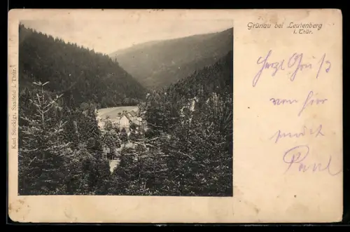 AK Grünau bei Leutenberg, Teilansicht mit angrenzendem Wald