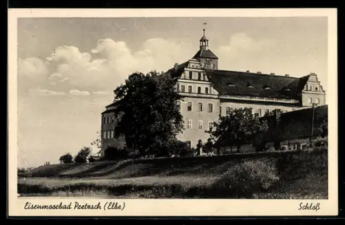 AK Pretzsch /Elbe, Schloss in der Aussenansicht mit Grünanlage