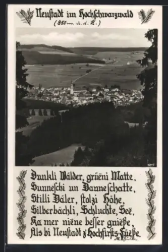 AK Neustadt im Hochschwarzwald, Panoramaansicht auf Stadt und Umgebung