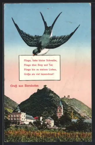 AK Bornhofen, Schwalbe mit Gruss, Ortsansicht