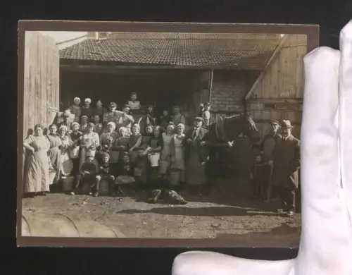 Fotografie Gruppenportrait von Weinbauern auf einem Gut mit Pferd