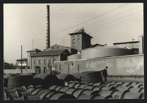 Fotografie unbekannter Fotograf, Ansicht Zörbig, Zörbig VEB Ogis, Industrieanlage mit grossen Fässern