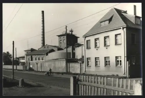 Fotografie unbekannter Fotograf, Ansicht Zörbig, Zörbig VEB Ogis, Strassenszene mit Fabrikgebäude und Schornstein