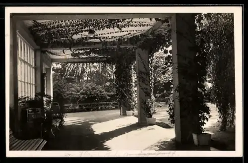 AK Bad Bochdanetsch, Wandelbahn mit Ruhebänken