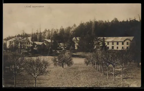AK Lázné Sedmihorky, Ortspartie am Waldrand