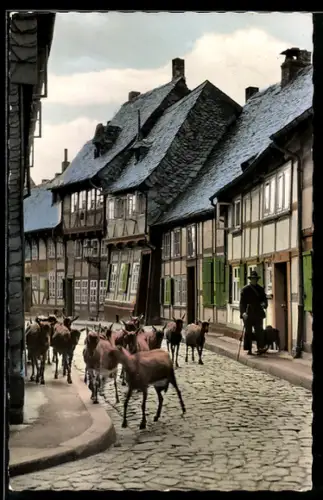 AK Goslar /Harz, Peterstrasse mit Fachwerkhäusern und durchlaufender Ziegenherde