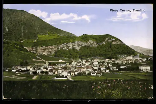 AK Pieve Tesino, Trentino, vista panoramica del paese con montagne sullo sfondo