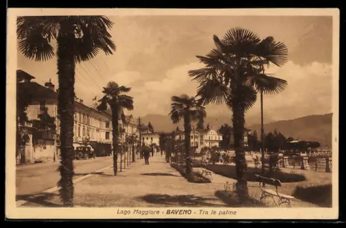 AK Baveno /Lago Maggiore, Tra le palme con vista sulla passeggiata e edifici storici