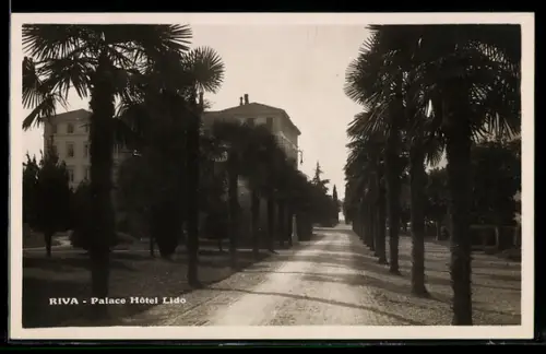 AK Riva, Palace Hôtel Lido con viale di palme