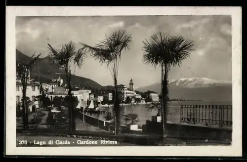 AK Gardone Riviera /Lago di Garda, Vista panoramica con palme e lago sullo sfondo