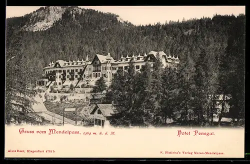 AK Mendelpass, Hotel Penegal con vista sulle montagne e foresta alpina