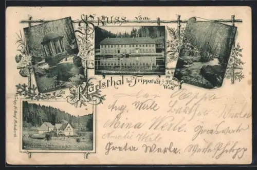 AK Trippstadt i. Pfälzer Wald, Kiosk, Villa Gienauth und Willensteiner Mühle im Karlstal