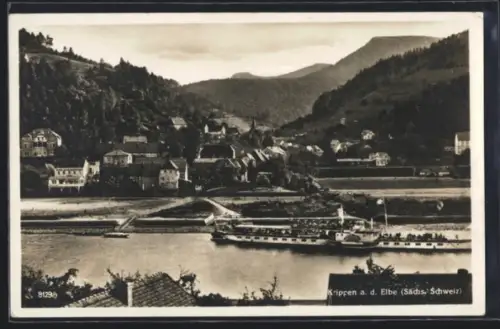 AK Krippen a. d. Elbe, Ortsansicht, Dampfschiff auf der Elbe