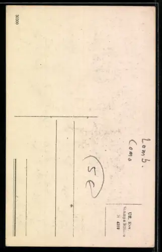 AK Como, Piazza S. Fedele