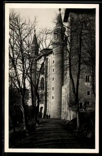 AK Urbino, Giovinezza serena che sogna tra l`eterna bellezza dell`arte e le piante spogliate