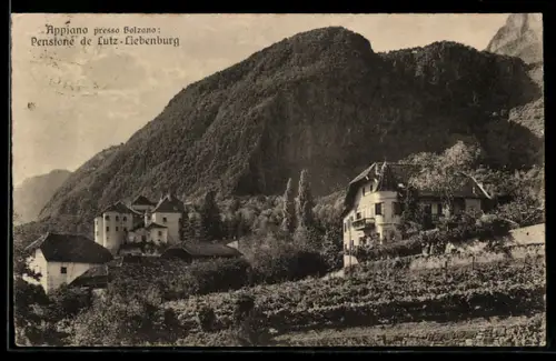 AK Appiano presso Bolzano, Pensione de Lutz-Liebenburg con vista sulle montagne e vigneti