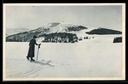 AK Feldberg, Blick auf Herzogenhorn
