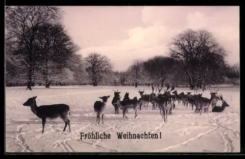 AK Hochwildherde in verschneiter Parklandschaft