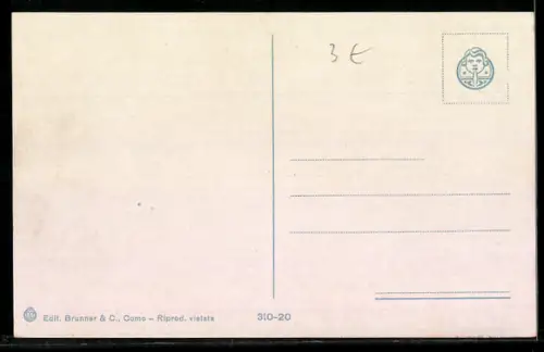 AK Riva del Garda, Veduta generale