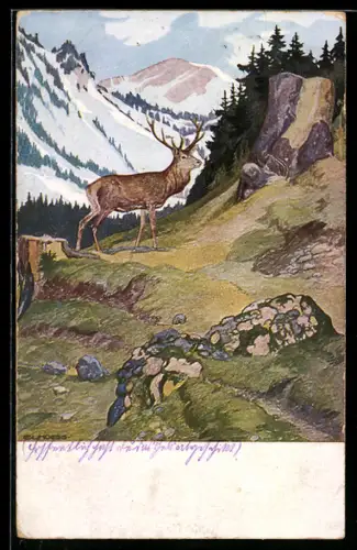 Künstler-AK G.Hirth`s Verlag, Serie II, Hochwaldleben im Herbst
