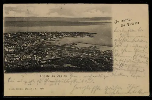 AK Trieste, Vista da Opicina con panorama costiero in bianco e nero