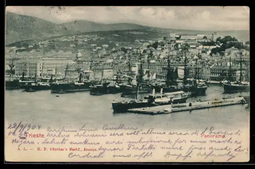 AK Trieste, Panorama del porto con navi e città sullo sfondo