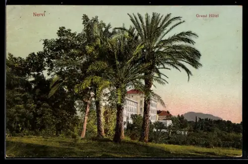 AK Nervi, Vista del Grand Hôtel tra le palme e il paesaggio collinare