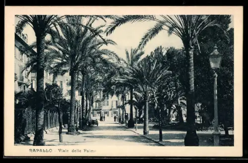 AK Rapallo, Viale delle Palme