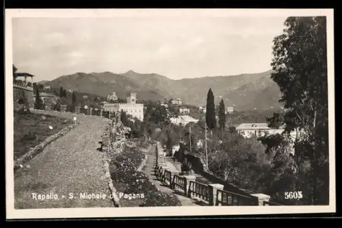 AK Rapallo, S. Michele di Pagana, vista panoramica del paesaggio collinare e strada alberata