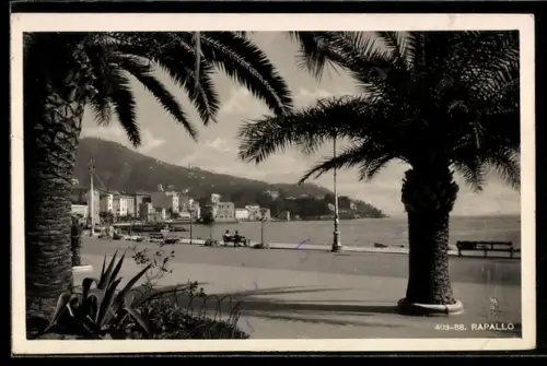AK Rapallo, Passeggiata sul lungomare con palme e vista panoramica